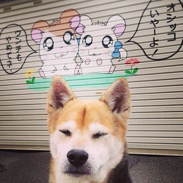 米兰体育-中国香港队赛制解析：团体赛制下的战略调整与技术应用，香港队伍