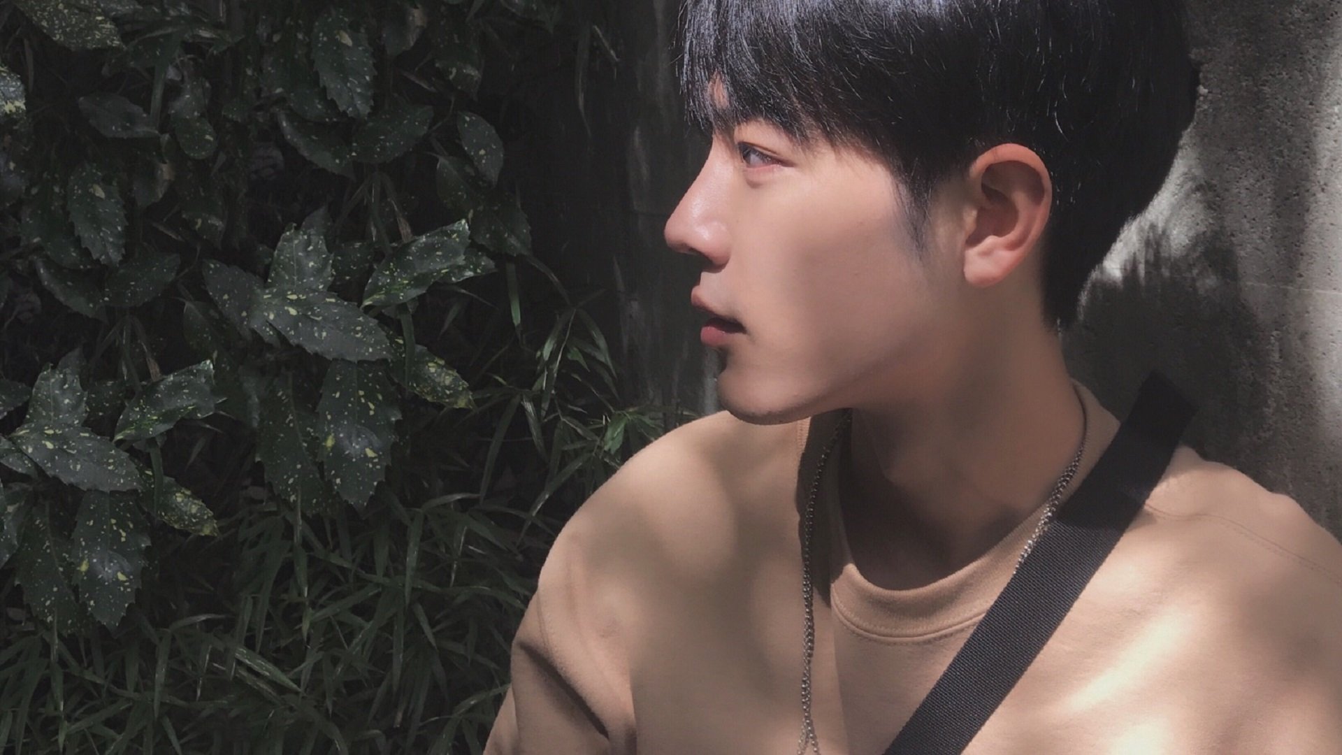 米兰体育APP-埃弗顿中路防守密度成功限制对方核心，埃弗顿战术