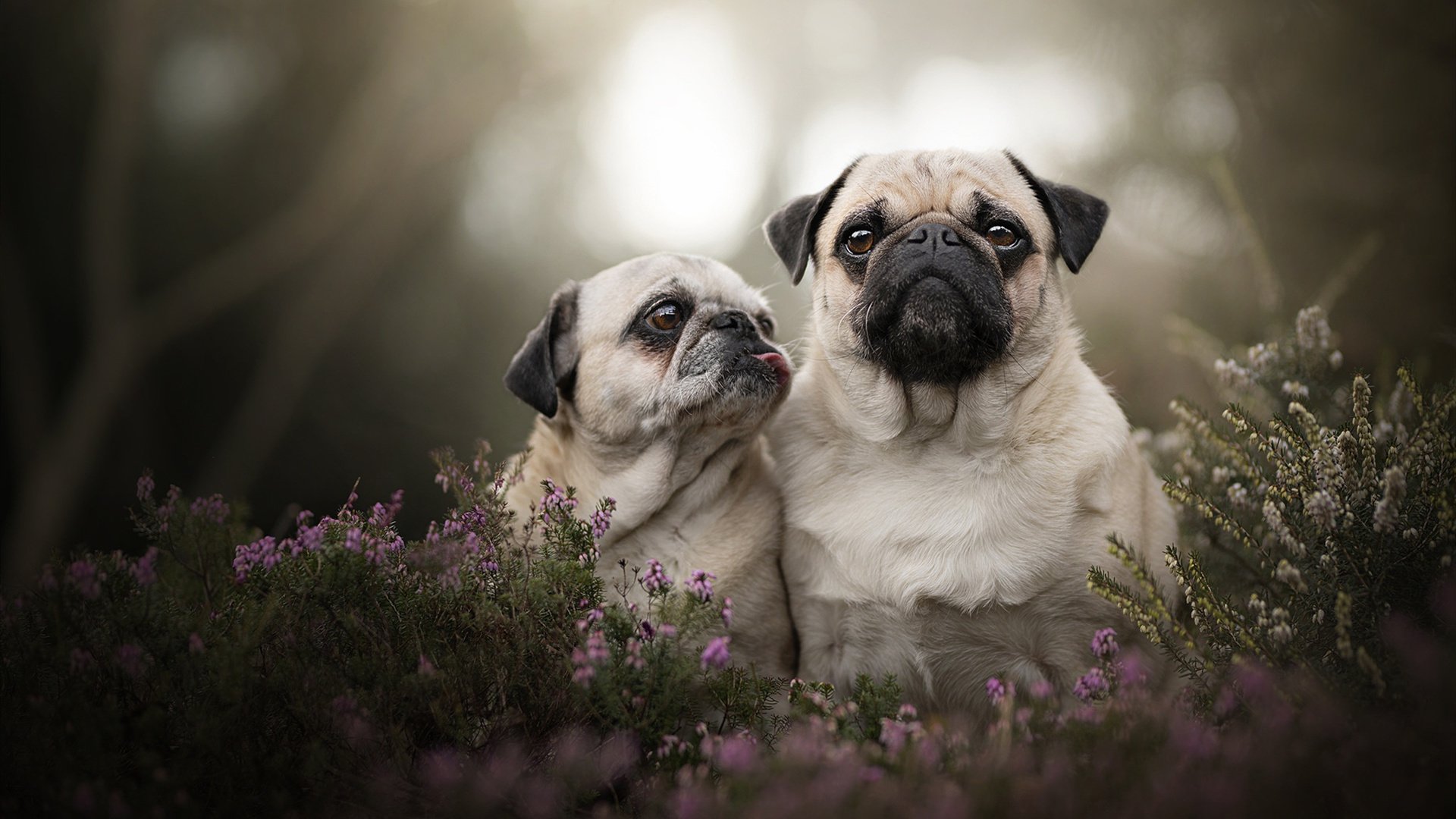 米兰体育-明星运动员公益行动广受好评，明星公益活动有哪些