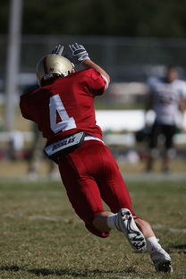 米兰体育APP-队内竞争激烈导致核心球员疲劳，队内竞争激烈导致核心球员疲劳的原因