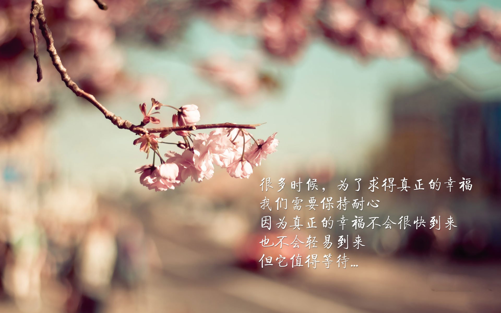 米兰体育-“亚戈·卡尔曼的球场影响力，阿根廷美洲狮队的新星未来无限”