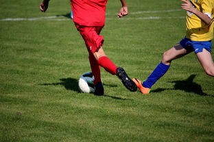 MILANSPORT下载-中国足球国家队心理调适训练常态化开展，足球运动员的心理训练