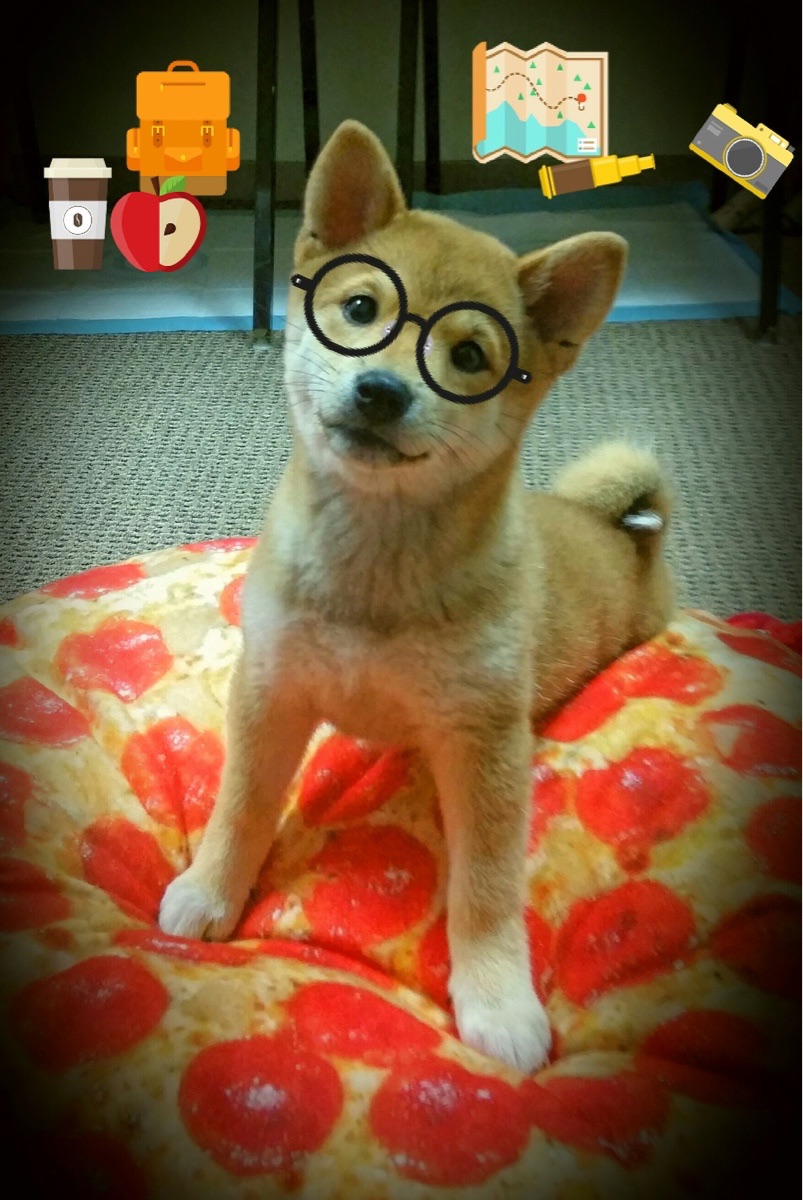 MILANSPORT下载-各国队伍频频在国际比赛中逆转获胜，展现良好的竞技状态，各国国家队