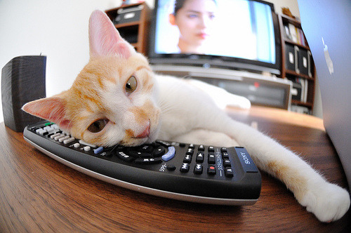 米兰登录入口-国王安排一对一指导课提升内线球员脚步技巧