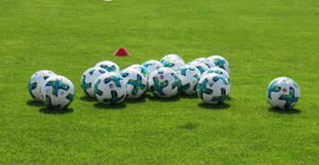 MILANSPORT入口-国际足球明星在世界杯舞台上的精彩表现引发全球热议，世界足球明星介绍