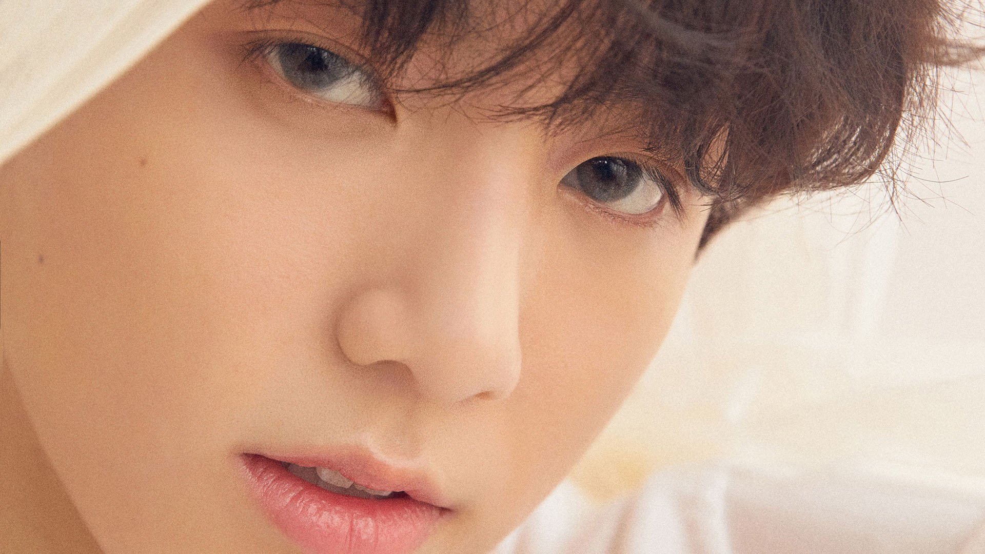 -弗朗索瓦·斯图尔特：通过精准脚法助力南非队攻防转换，弗朗索瓦特吕弗