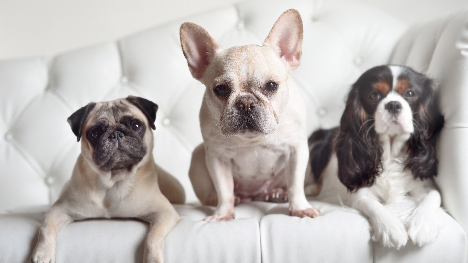 米兰体育APP-摩纳哥仰泳选手实力持续增长,摩纳哥泳池