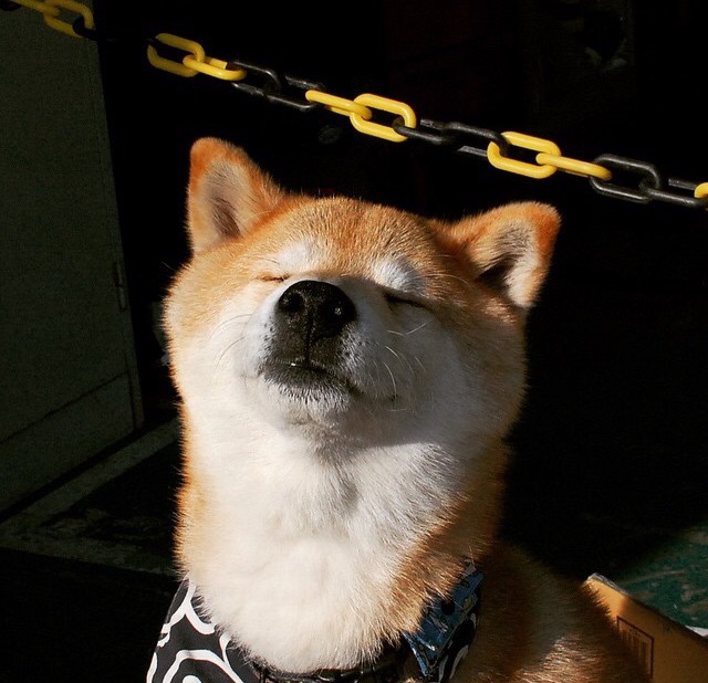 米兰体育官网-新西兰全黑队的比赛节奏由速度与精准推动，新西兰全黑队宣传视频