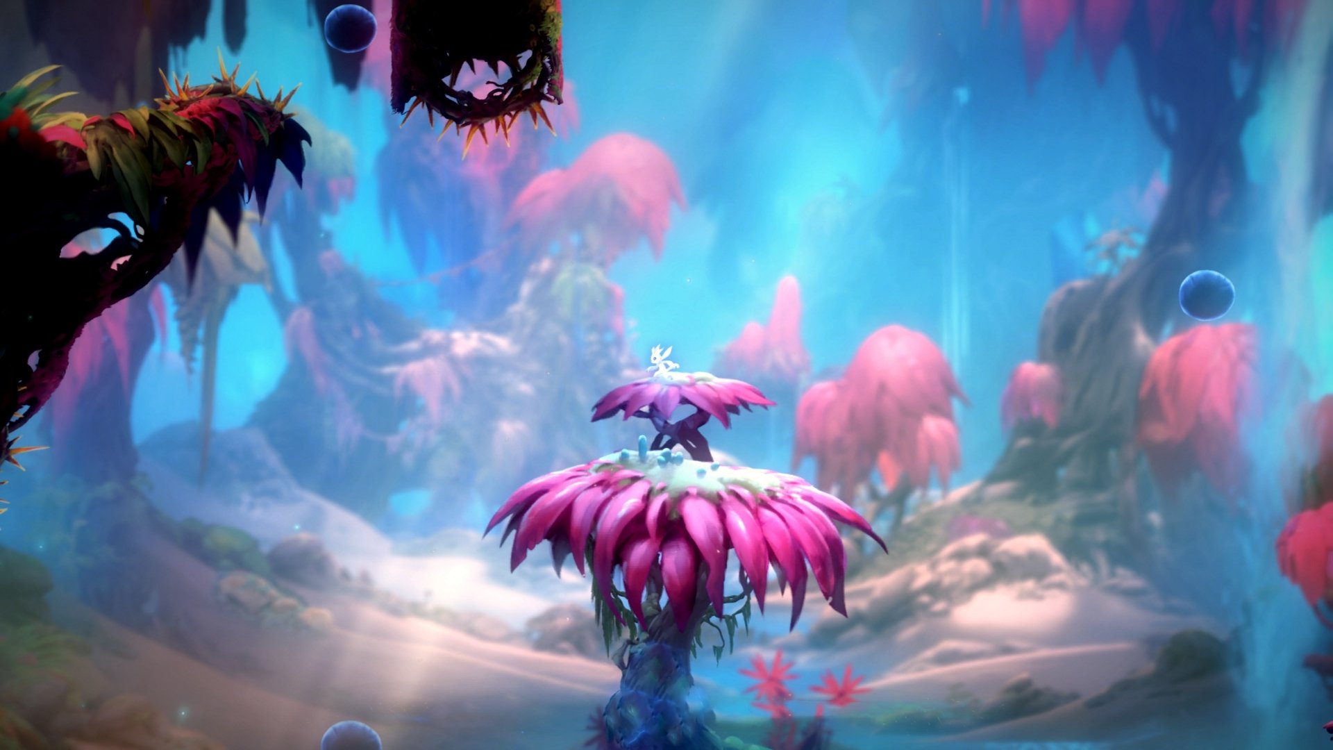 米兰登录入口-朱婷强攻能力提升训练中多次得分，朱婷强攻效率高