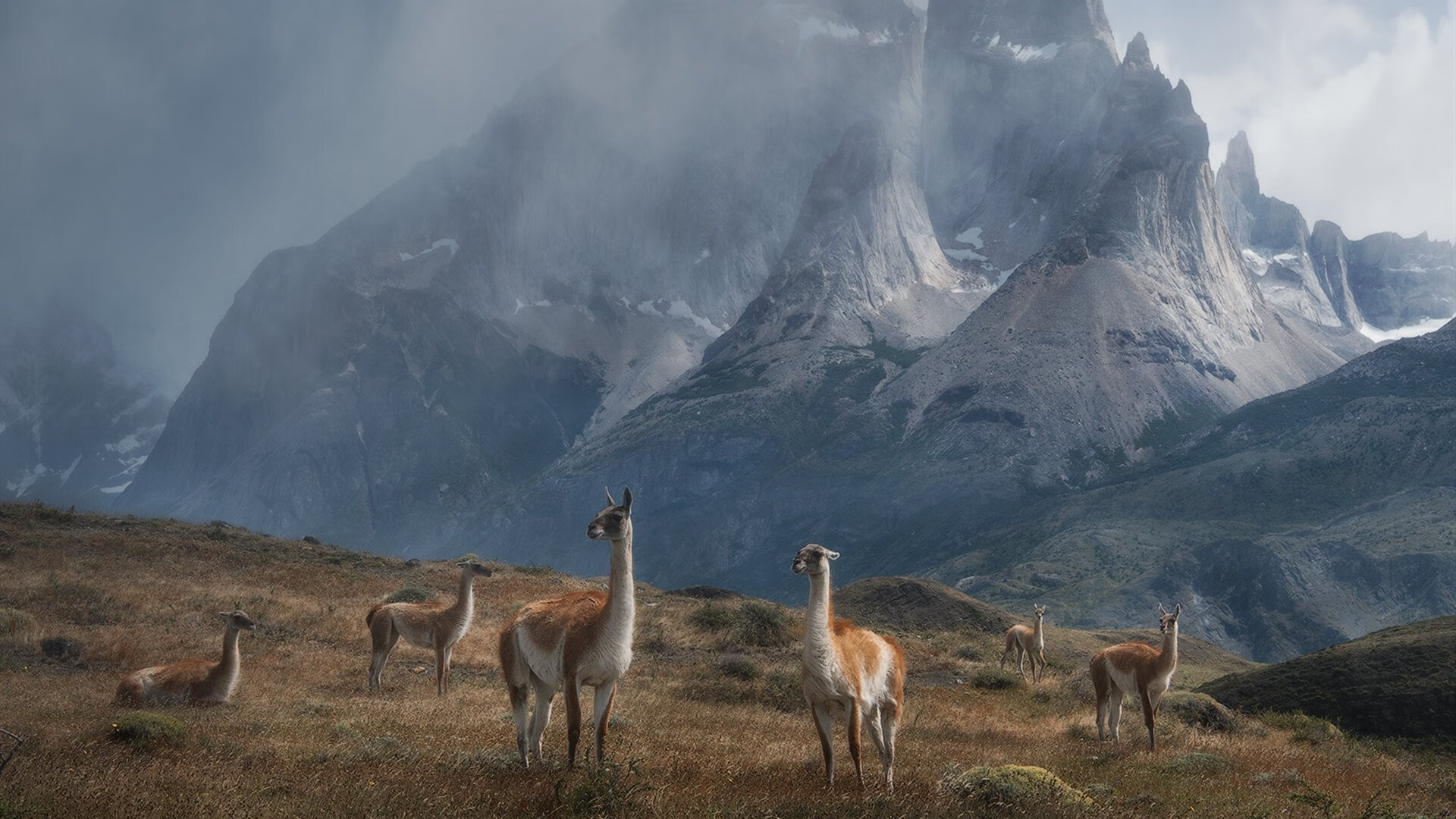 米兰体育官网-波波维奇用坚韧精神征服赛场挑战,波波维奇有多强