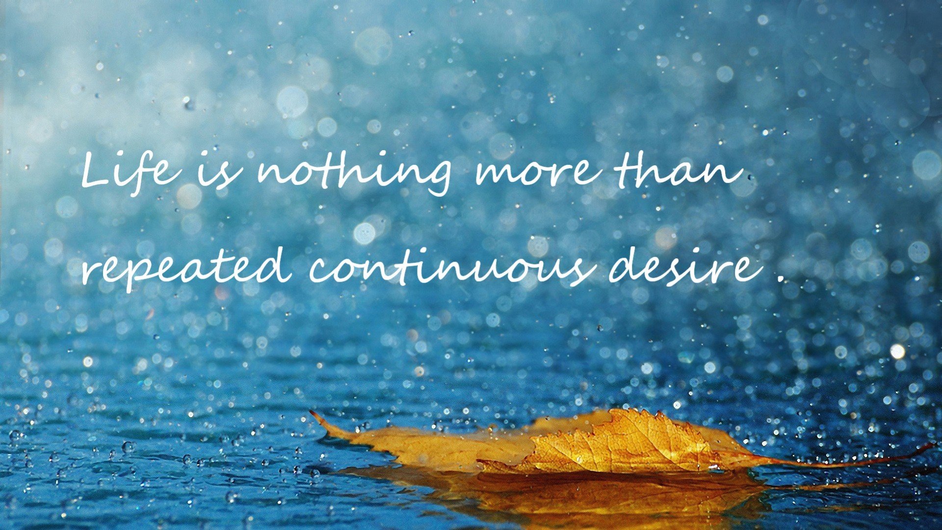 米兰体育官网-福特:全黑队的战术关键人物,攻防两端均能贡献巨大,福特黑武士汽车报价价格