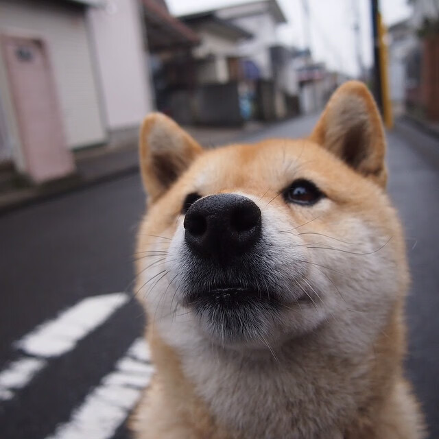 AC米兰-马拉松跑者装备升级推荐,马拉松训练装备